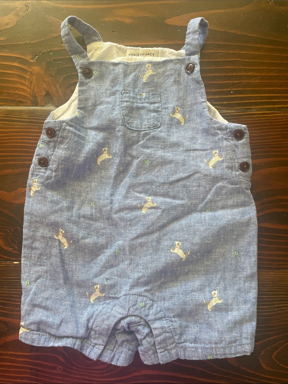 Janie and Jack Light Blue Chambray Puppy Shortalls